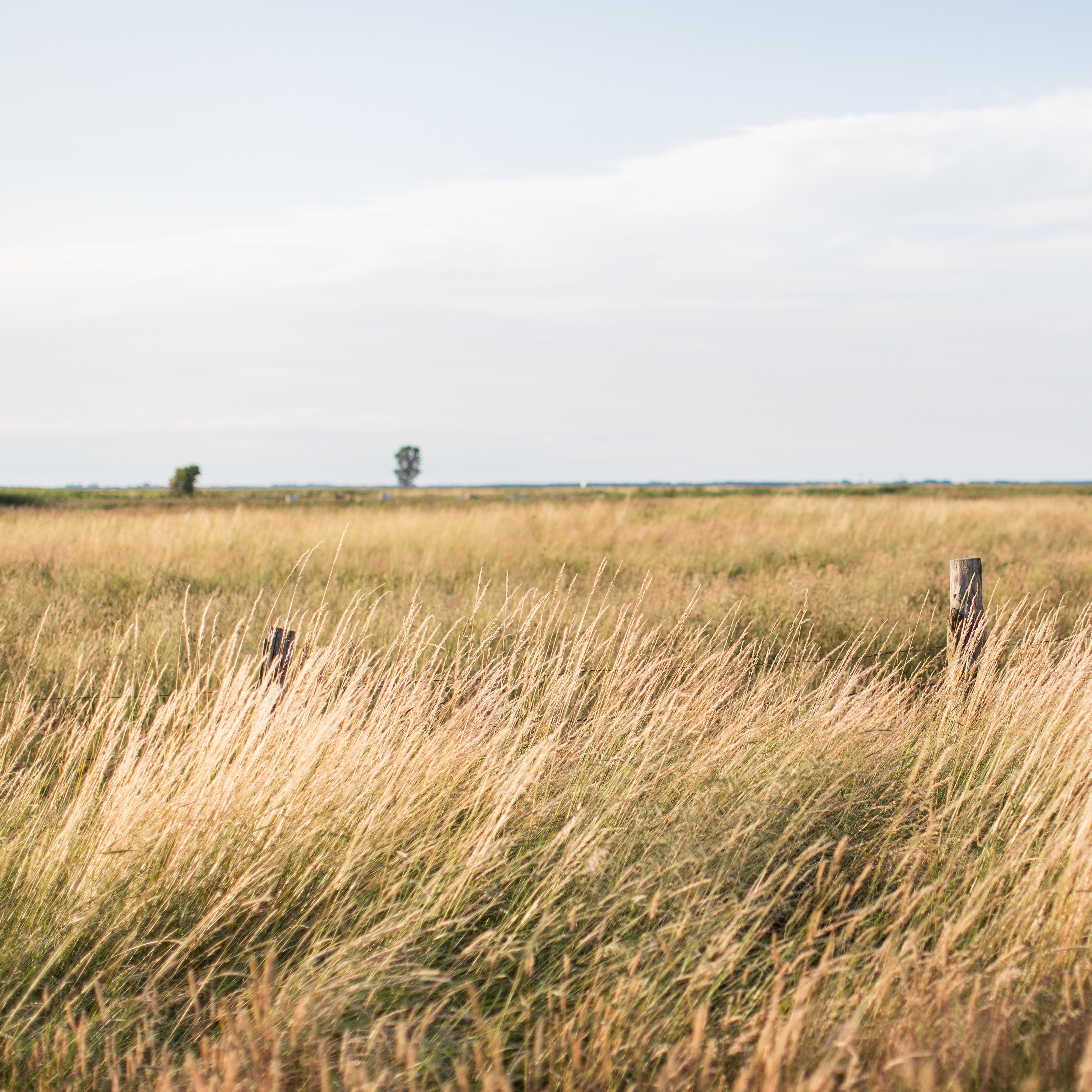 High Plains Conservation News Workshop Oct. 2019